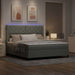 Pat cu arcuri cu saltea cu led Gri deschis 180 x 200 cm Catifea - WALTI WALTI