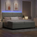 Pat cu arcuri cu benzi LED Gri deschis 200 x 200 cm Catifea - WALTI WALTI