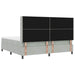 Pat cu arcuri cu benzi LED Gri deschis 200 x 200 cm Catifea - WALTI WALTI