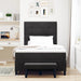 Pat cu arcuri cu saltea cu headboard Negru 120 x 200 cm Catifea - WALTI WALTI