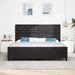 Pat cu arcuri cu headboard Negru 200 x 200 cm Catifea - WALTI WALTI