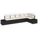 Set de canapele pentru grădină cu pernă 6 pcs Negru, Crem - WALTI WALTI