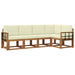 Set de canapele de exterior cu pernă 5 pcs Natural și Crem - WALTI WALTI