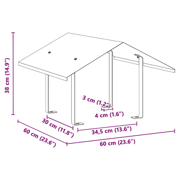 Hood pentru coș de fum Argintiu 60 x 60 x 38 cm Oţel inoxidabil - WALTI WALTI
