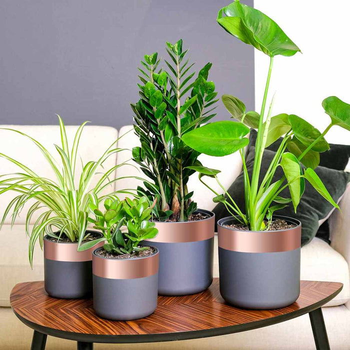 Bandă din cupru dublă față 6 pcs Cupru 2000 x 7 cm Cupru - WALTI WALTI