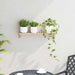Raft Suspendat pe Perete Bej 62 x 10 x 12.5 cm - WALTI WALTI