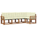 Set de canapele de exterior cu pernă 5 pcs Natural și Crem - WALTI WALTI