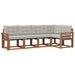 Set de canapele de exterior 5 pcs Gri natural și deschis - WALTI WALTI