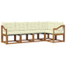 Set de canapele de exterior cu pernă 5 pcs Natural și Crem - WALTI WALTI
