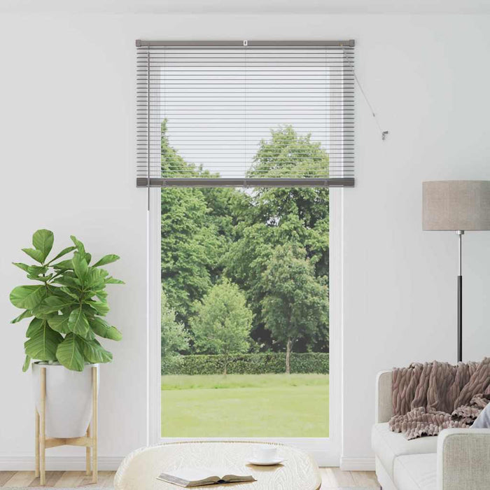 Jaluzele venetiene Manual Argintiu 220 x 120 cm Aluminiu - WALTI WALTI