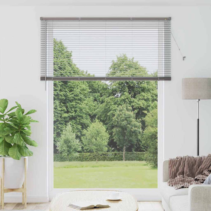 Jaluzele venetiene Manual Argintiu 220 x 155 cm Aluminiu WALTI