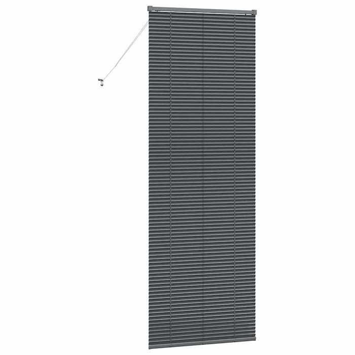 Jaluzele venetiene Manual Gri închis 220 x 75 cm Aluminiu - WALTI WALTI