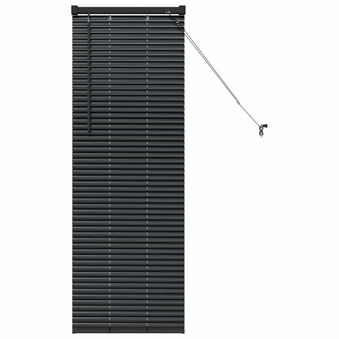 Jaluzele venetiene Manual Negru 130 x 55 cm Aluminiu - WALTI WALTI