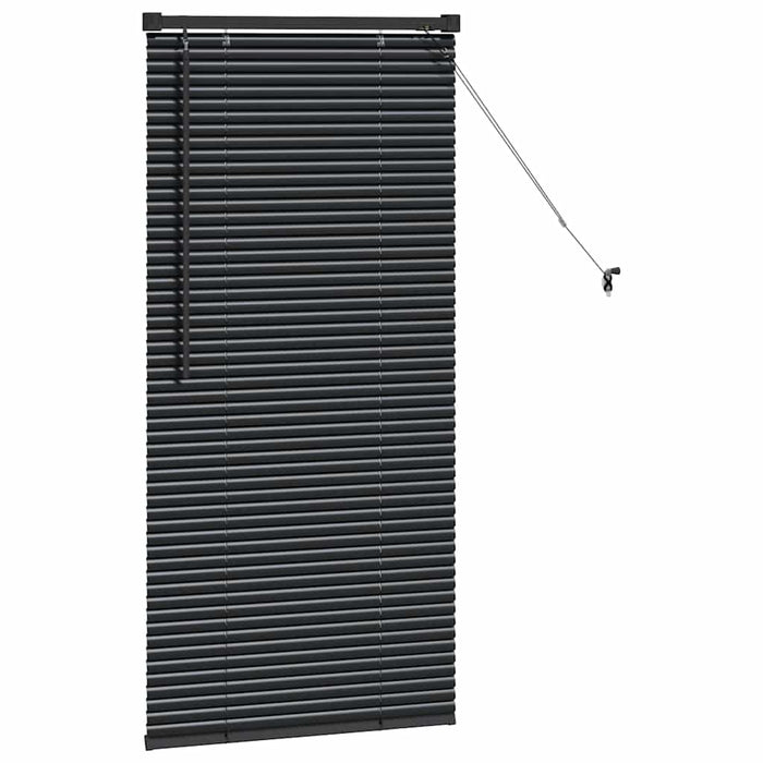 Jaluzele venetiene Manual Negru 130 x 60 cm Aluminiu - WALTI WALTI
