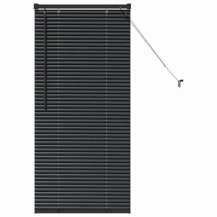 Jaluzele venetiene Manual Negru 60 x 2,5 x 130 cm Aluminiu - WALTI WALTI