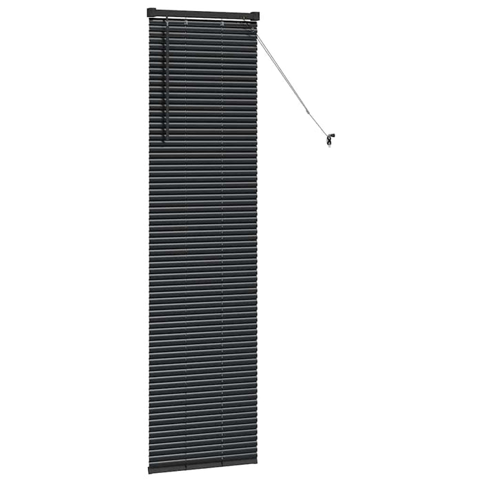 Jaluzele venetiene Manual Negru 175 x 50 cm Aluminiu WALTI