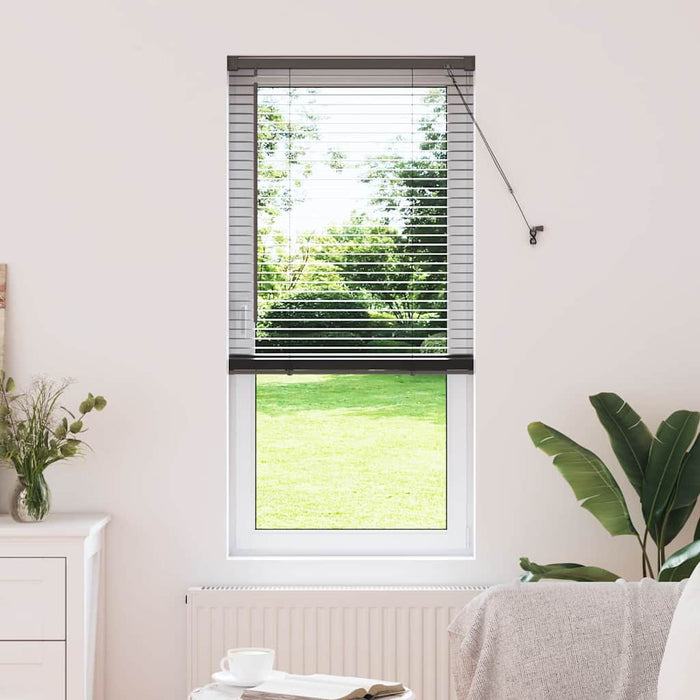 Jaluzele venetiene Manual Negru 175 x 60 cm Aluminiu - WALTI WALTI