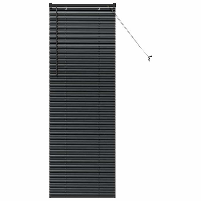 Jaluzele venetiene Manual Negru 175 x 65 cm Aluminiu - WALTI WALTI