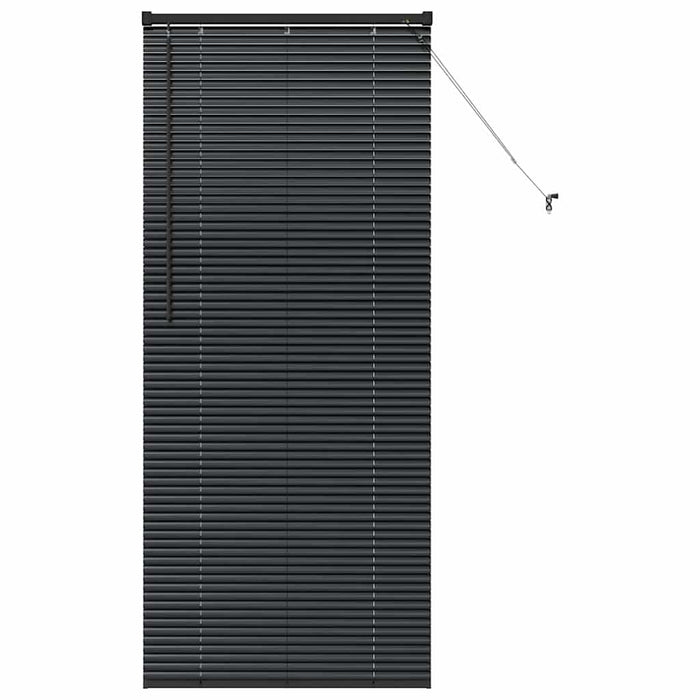 Jaluzele venetiene Manual Negru 175 x 75 cm Aluminiu - WALTI WALTI