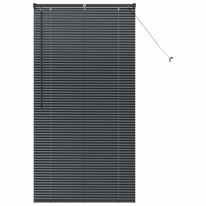 Jaluzele venetiene Manual Negru 175 x 85 cm Aluminiu - WALTI WALTI