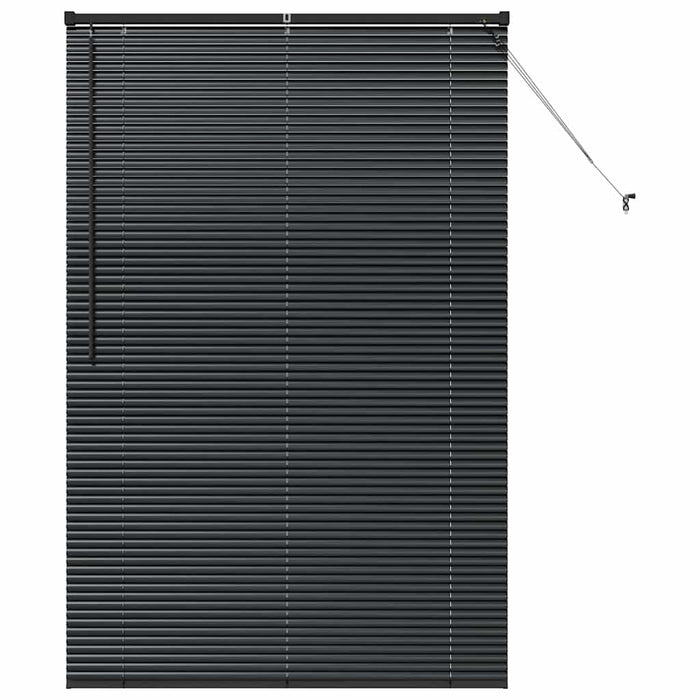 Jaluzele venetiene Manual Negru 175 x 115 cm Aluminiu - WALTI WALTI