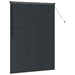 Jaluzele venetiene Manual Negru 175 x 130 cm Aluminiu - WALTI WALTI