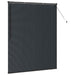 Jaluzele venetiene Manual Negru 175 x 140 cm Aluminiu - WALTI WALTI