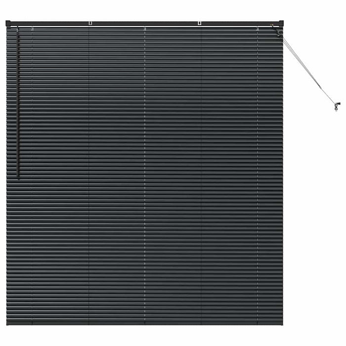 Jaluzele venetiene Manual Negru 175 x 160 cm Aluminiu - WALTI WALTI