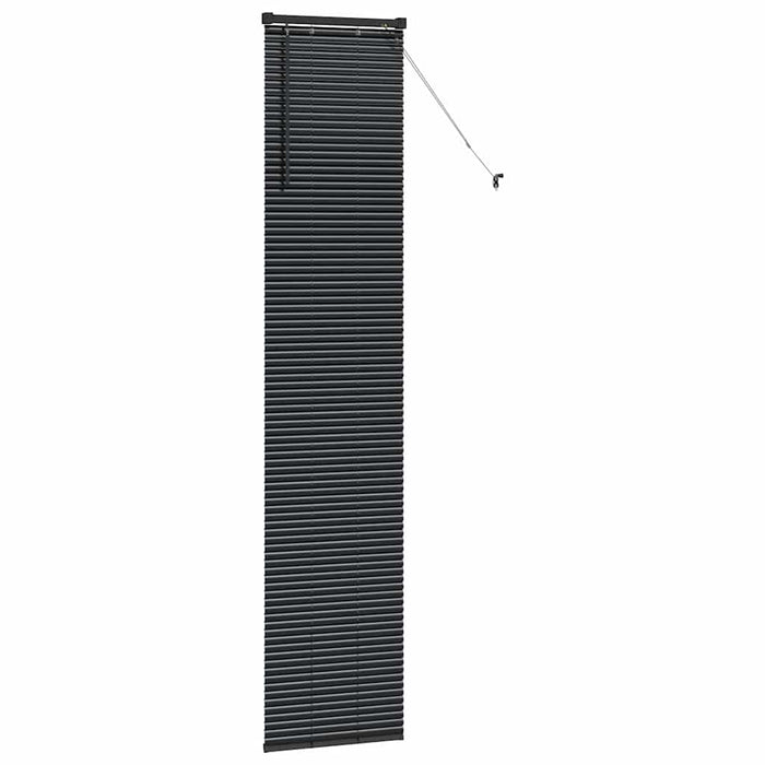 Jaluzea venetiană Negru 220 x 40 cm 25 mm Aluminiu - WALTI WALTI