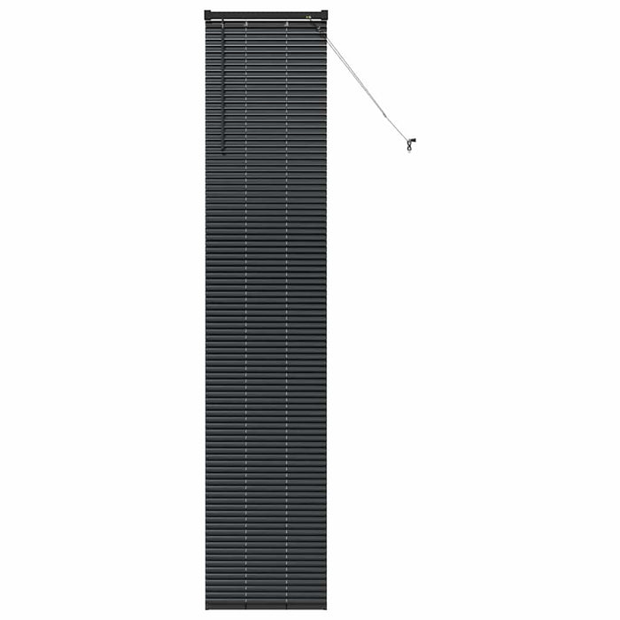 Jaluzea venetiană Negru 220 x 40 cm 25 mm Aluminiu - WALTI WALTI