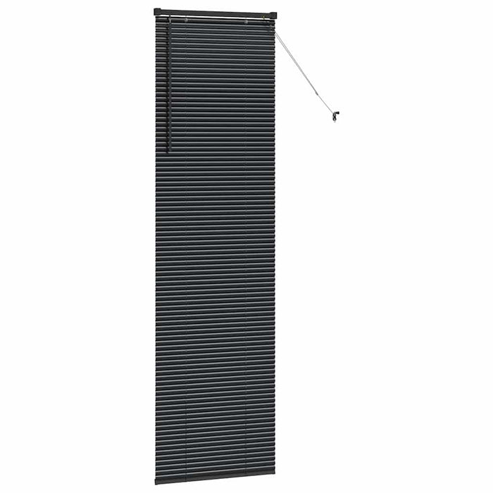 Jaluzele venetiene Manual Negru 220 x 60 cm Aluminiu - WALTI WALTI
