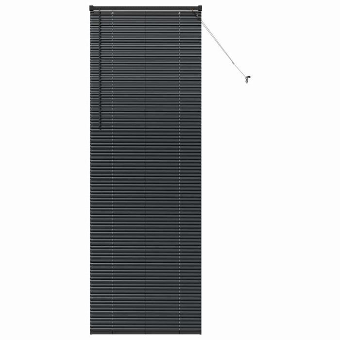 Jaluzele venetiene Manual Negru 220 x 80 cm Aluminiu - WALTI WALTI