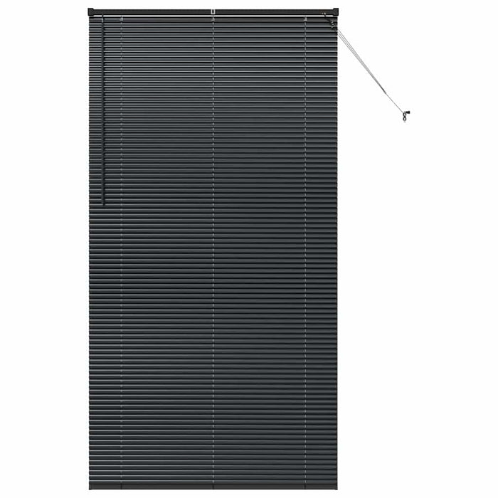 Jaluzele venetiene Manual Negru 220 x 110 cm Aluminiu - WALTI WALTI