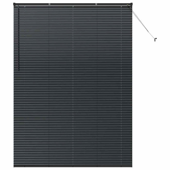 Jaluzele venetiene Manual Negru 220 x 155 cm Aluminiu - WALTI WALTI