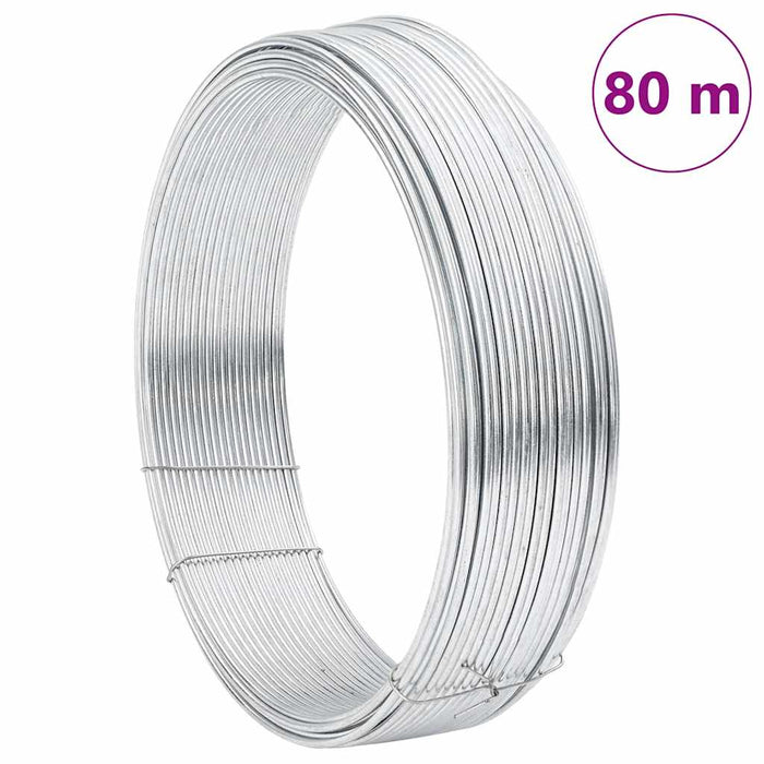 Sârmă de legare pentru gard Argintiu 80 m - WALTI WALTI
