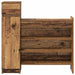 Dulap pentru pantofi cu sertar Lemn vechi 100,5 x 28 x 100 cm - WALTI WALTI