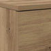 Dulap pentru pantofi Stejar Artizanal 100,5 x 28 x 100 cm - WALTI WALTI