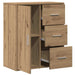 Bufet cu sertar Stejar Artizanal 60 x 31 x 70 cm Lemn compozit - WALTI WALTI