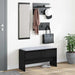 Set mobilier hol cu sertar 4 pcs Stejar Negru Lemn compozit - WALTI WALTI