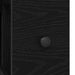 Dulap de Baie 21,5 x 50 x 60 cm Lemn prelucrat Stejar Negru - WALTI WALTI