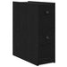 Dulap de Baie 21,5 x 50 x 60 cm Lemn prelucrat Stejar Negru - WALTI WALTI
