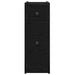 Dulap de Baie 21,5 x 50 x 60 cm Lemn prelucrat Stejar Negru - WALTI WALTI