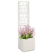 Cutie pentru flori Alb 36 x 36 x 140 cm Plastic - WALTI WALTI
