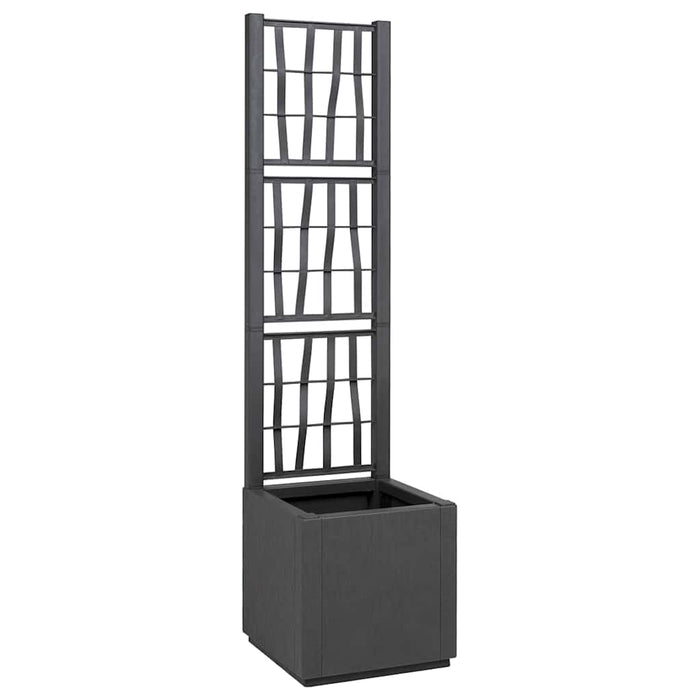 Cutie pentru flori Gri închis 36 x 36 x 140 cm Plastic - WALTI WALTI