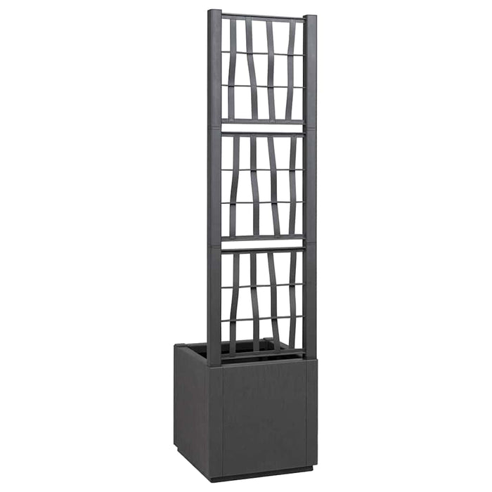 Cutie pentru flori Gri închis 36 x 36 x 140 cm Plastic - WALTI WALTI