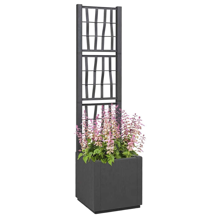 Cutie pentru flori Gri închis 36 x 36 x 140 cm Plastic - WALTI WALTI