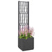 Cutie pentru flori Gri închis 36 x 36 x 140 cm Plastic - WALTI WALTI