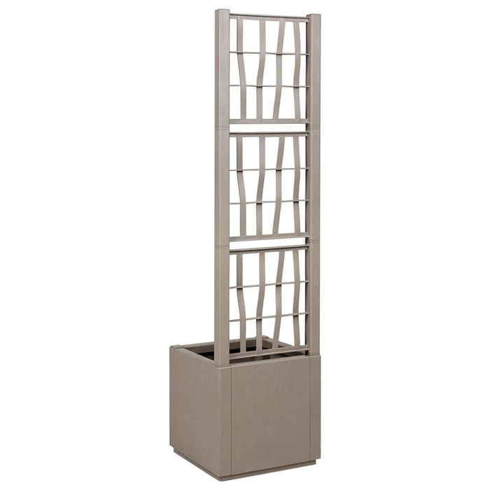 Cutie pentru flori Maro deschis 36 x 36 x 140 cm Plastic - WALTI WALTI