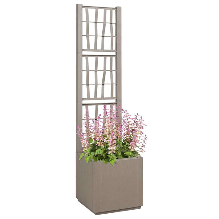 Cutie pentru flori Maro deschis 36 x 36 x 140 cm Plastic - WALTI WALTI