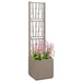 Cutie pentru flori Maro deschis 36 x 36 x 140 cm Plastic - WALTI WALTI